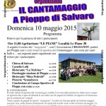 VN24_Pioppe_Cantamaggio