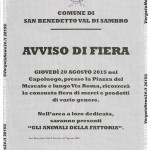 VN24_Fiera_San Benedetto copia