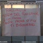 160128_Vergato_Vle G. Di Vittorio_Cani-001