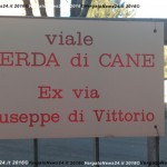 160128_Vergato_Vle G. Di Vittorio_Cani-002