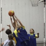 VN24_160121_Barbagallo s_Playbasket_003