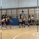 VN24_160121_Barbagallo s_Playbasket_004
