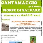 VN24_Pioppe_Cantamaggio_03
