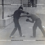 Fanini salvatore_Box-001 copia