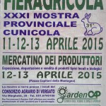 VN24_IMG_20150324_115800