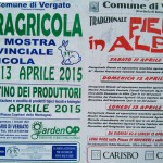 VN24_IMG_20150324_115845