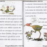 VN24_20170731_Silvano Monti_Ghiozzo Quaglione_011