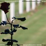 VN24_UCAB_cimitero_sudafricani_Castiglione _1