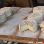 01_YT_20201017_F_Vergato_Sensazioni.Immagine026