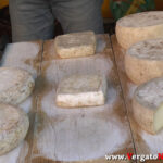 01_YT_20201017_F_Vergato_Sensazioni.Immagine027