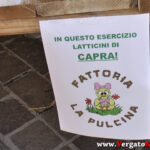 01_YT_20201017_F_Vergato_Sensazioni.Immagine028