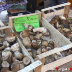 01_YT_20201017_F_Vergato_Sensazioni.Immagine033