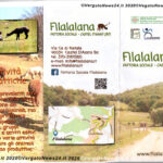 Filalalana_Alpaca.FR12 – 0001 copy