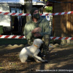 VN24_20201018_Vergato_Sensazioni_003