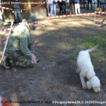 VN24_20201018_Vergato_Sensazioni_008