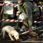 VN24_20201018_Vergato_Sensazioni_013