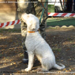 VN24_20201018_Vergato_Sensazioni_017