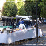 VN24_20201018_Vergato_Sensazioni_024