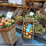VN24_20201019_Vergato_Sensazioni_056