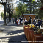 VN24_20201031_Vergato_Patrizia_010