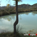 YT_20201020_F_Riola_Mela.Immagine031