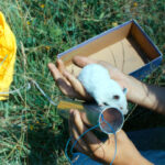 YT_20203101_PG_Compleanno_2020.Immagine027