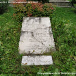 VN24_20201104_Vergato_4 novembre_006