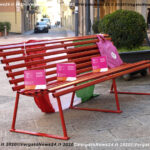 VN24_20201125_Vergato_Panchina rossa_005