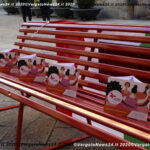 VN24_20201125_Vergato_Panchina rossa_006