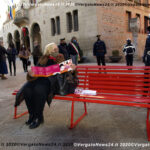 VN24_20201125_Vergato_Panchina rossa_029