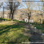 VN24_20201126_Vergato_Alberi nuovi nati_037