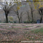 VN24_20201126_Vergato_Alberi nuovi nati_041