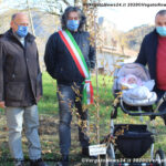 VN24_20201126_Vergato_Alberi nuovi nati_048