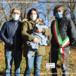 VN24_20201126_Vergato_Alberi nuovi nati_049