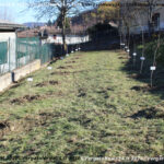 VN24_20201126_Vergato_Alberi nuovi nati_052