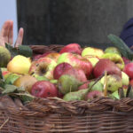 YT_20201017_F_Vergato_Mela.Immagine006