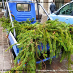 VN24_20201212_Vergato_Natale 2020_021