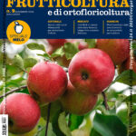 VN24_Articolo_Rosa_Romana_Frutticoltura_09_20 – 0001 copy