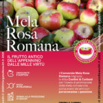 VN24_Articolo_Rosa_Romana_Frutticoltura_09_20 – 0002 copy