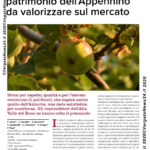 VN24_Articolo_Rosa_Romana_Frutticoltura_09_20 – 0003 copy
