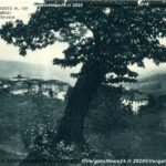 VN24_LB-panorama1-copy