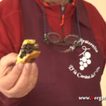 YT_20201017_F_Vergato_Mela.Immagine014