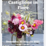 VN24_Castiglione in fiore 2021_01