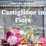 VN24_Castiglione in fiore 2021_02