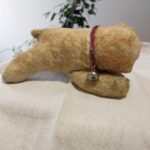 Pelouche 1