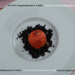 VN24_20221217_Vergato_RG_Serpieri_024