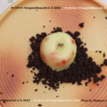 VN24_20221217_Vergato_RG_Serpieri_025