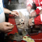 VN24_20221224_Vergato_Auguri_014