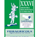 VN24_COPERTINA 2023