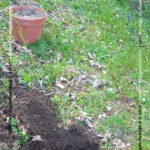 VN24_20230419_Paolo Rossi_Bomba_002